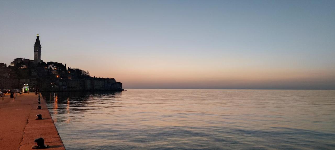 Davor Holiday Apartments روفينج المظهر الخارجي الصورة